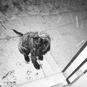 Meet your Posher, Dylan